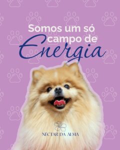 NECTARDAALMA-FLORAIS-AROMATIZADORES-TERAPEUTICOS-FLORALPET (1)