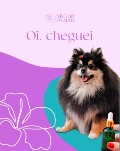 NECTARDAALMA-FLORAIS-AROMATIZADORES-TERAPEUTICOS-FLORALPET (2)