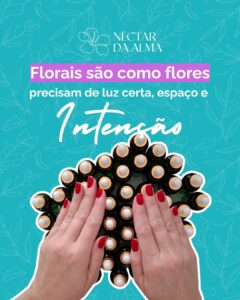 NECTARDAALMA-FLORAIS-AROMATIZADORES-TERAPEUTICOS-FLORALPET (4)