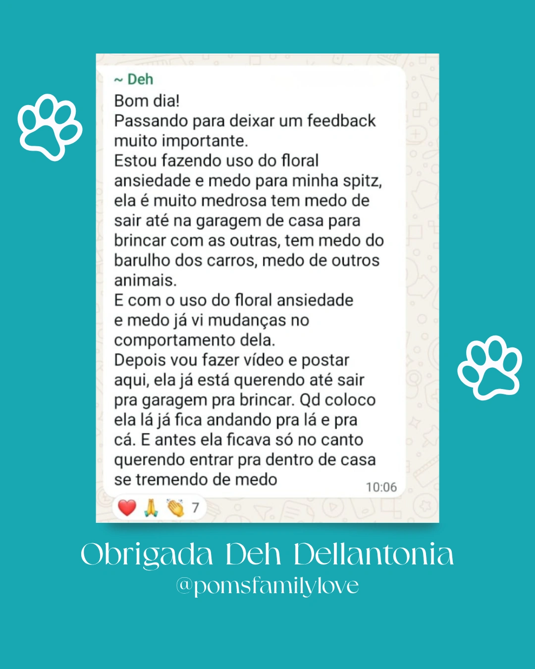 NECTARDAALMA-DEPOIMENTO-FLORAL-PET-TRATAMENTO-CACHORRO-CURA-BEMESTAR-ANIMAL-SPITZ- (7)