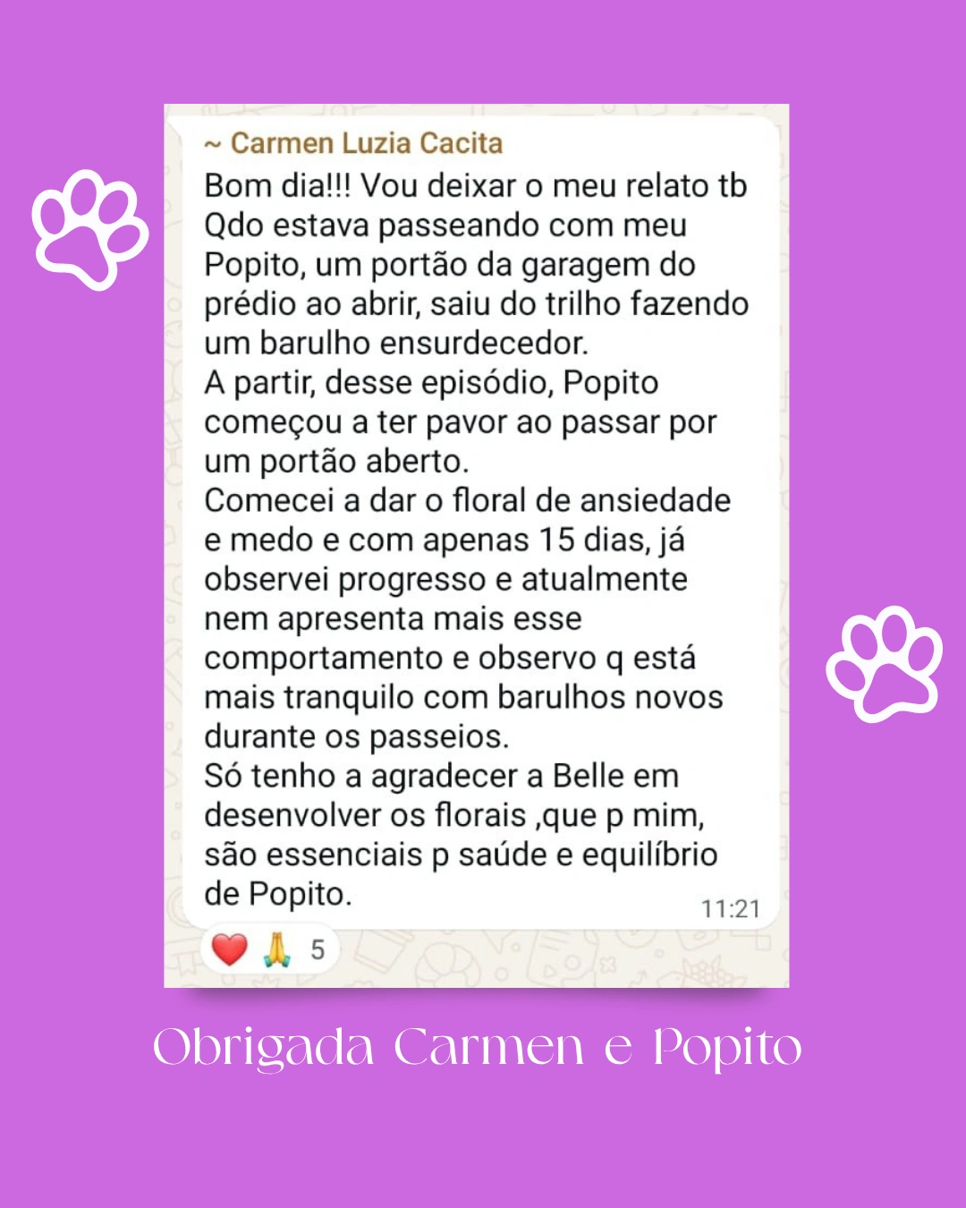NECTARDAALMA-DEPOIMENTO-FLORAL-PET-TRATAMENTO-CACHORRO-CURA-BEMESTAR-ANIMAL-SPITZ- (9)