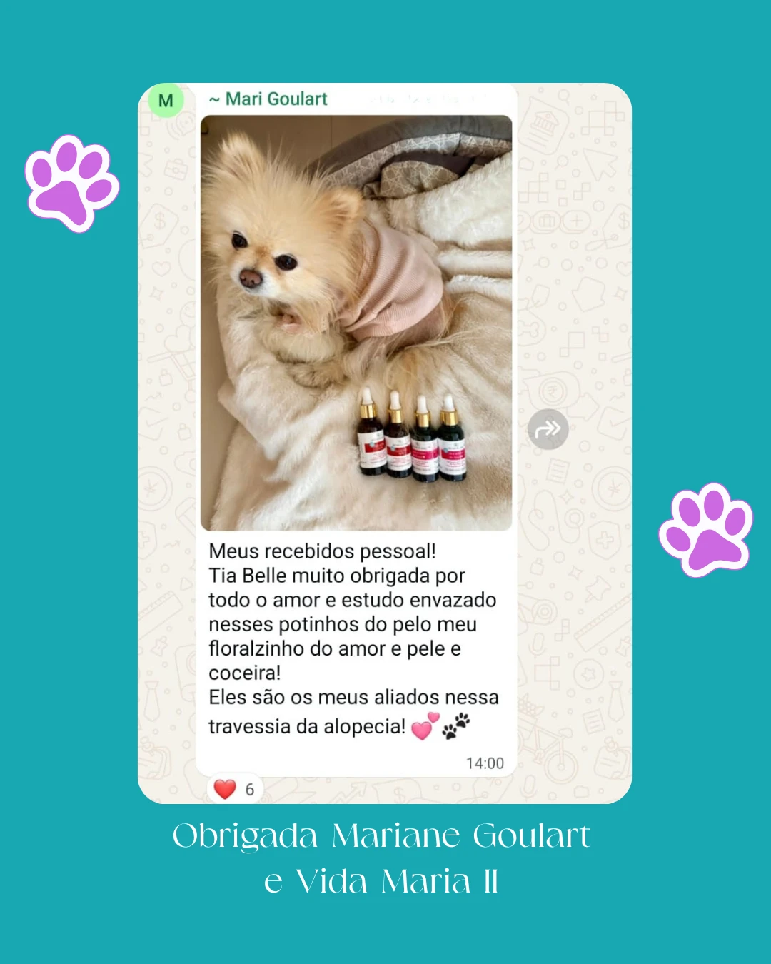 spitz-nectardaalma_floralzinhodoamor_pet_floral_ (3)